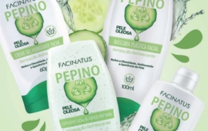 6208 Kit Pepino
